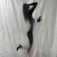 Шторка в ванную комнату, фотопечать. ТЕНЬ